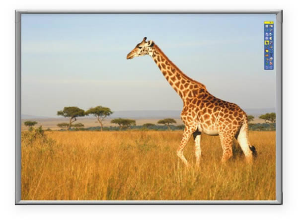 ���׵��Ӱװ�����