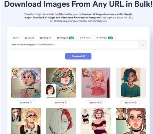 Imgdownloader(图片视频批量下载工具)