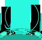 �����Ϸ��������ͼ