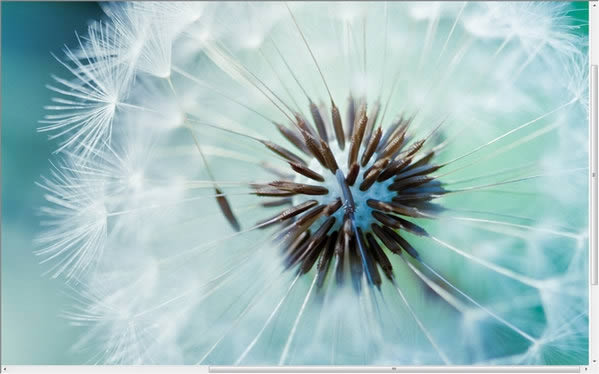 All Picture Finder-All Picture Finder���� v3.20.03.06�ٷ���