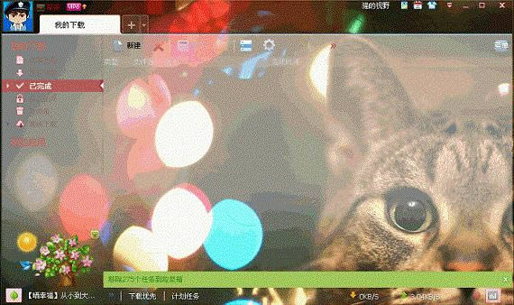 Ѹ��7-�����ļ����ع���-Ѹ��7���� v7.9.40.5006 ��ɫ��Я��