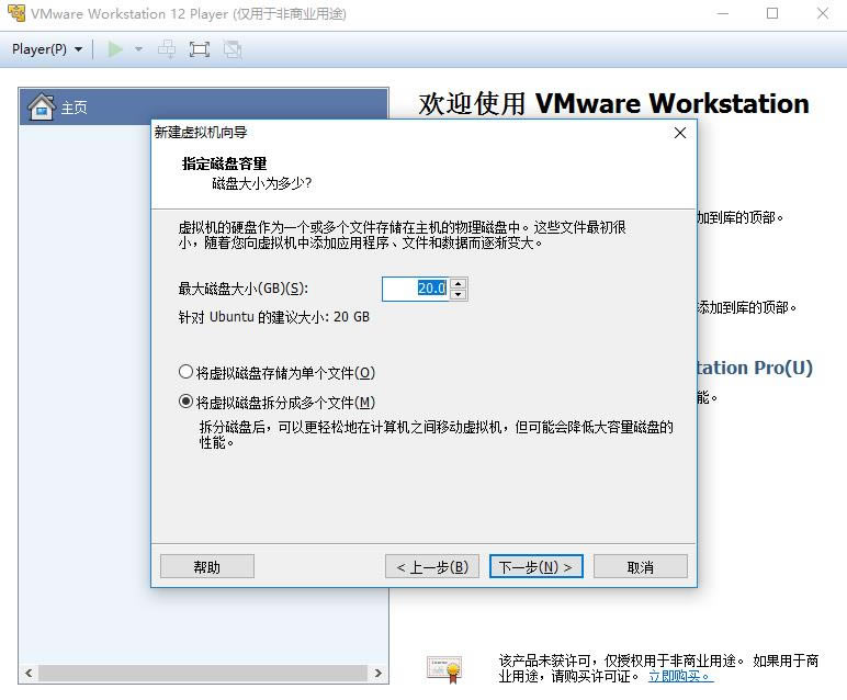 VMware Player