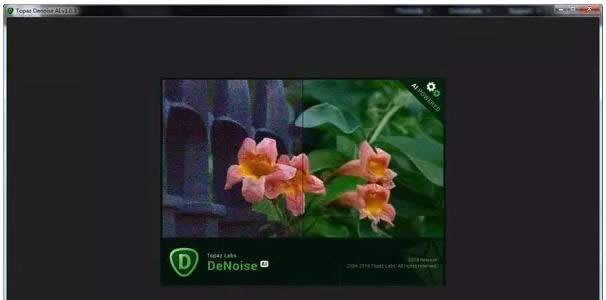 Topaz DeNoise AI-一款图片AI降噪软件-Topaz DeNoise AI下载 v2.3.6官方版