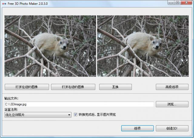 DVDVideoSoft Free 3D Photo Maker-DVDVideoSoft Free 3D Photo Maker v2.0.37.1013ɫ