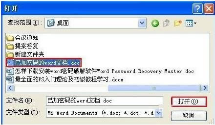 Word Password Recovery Master