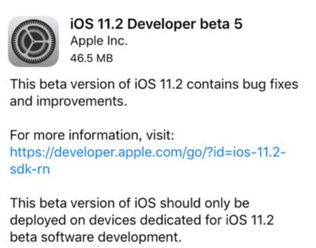 ios11.2.5固件免费提供下载_ios11.2.5正式版免费提供下载